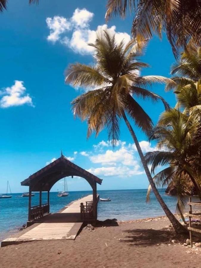 Studio Sainte Anne 2Mn A Pieds De La Plage ,Possibilite Location De Voiture Exteriör bild